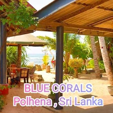 Blue Corals Beach Bungalow Matara Kültér fotó
