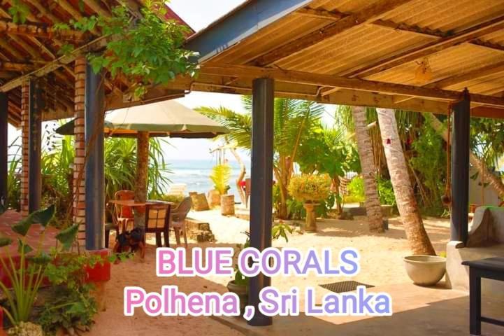 Blue Corals Beach Bungalow Matara Kültér fotó