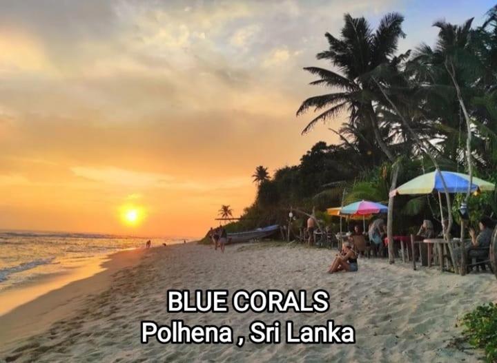 Blue Corals Beach Bungalow Matara Kültér fotó