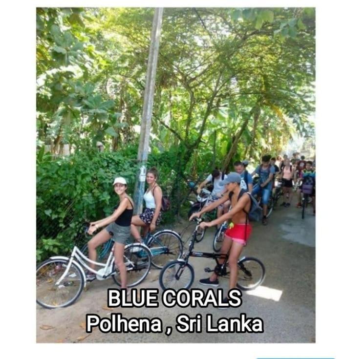Blue Corals Beach Bungalow Matara Kültér fotó