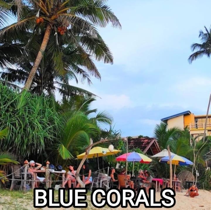 Blue Corals Beach Bungalow Matara Kültér fotó