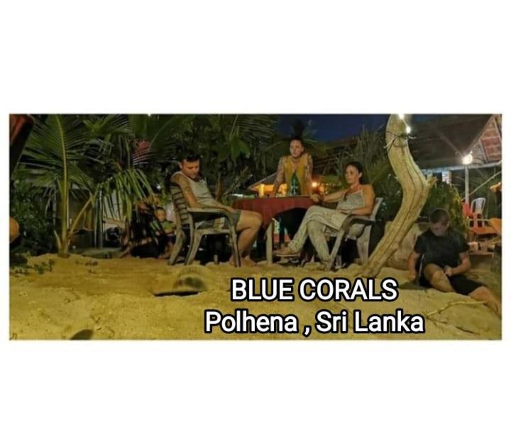 Blue Corals Beach Bungalow Matara Kültér fotó