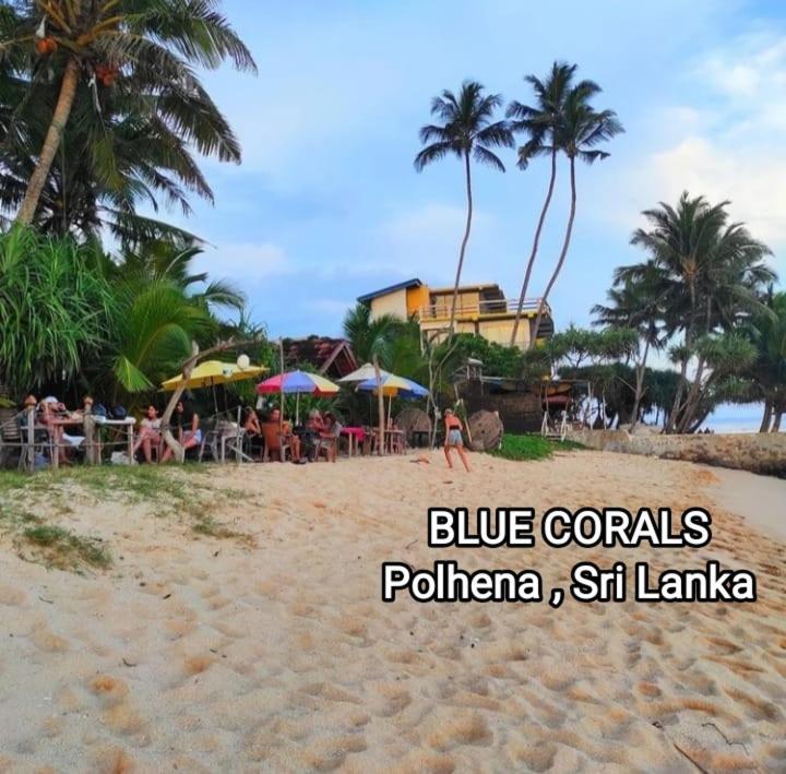 Blue Corals Beach Bungalow Matara Kültér fotó