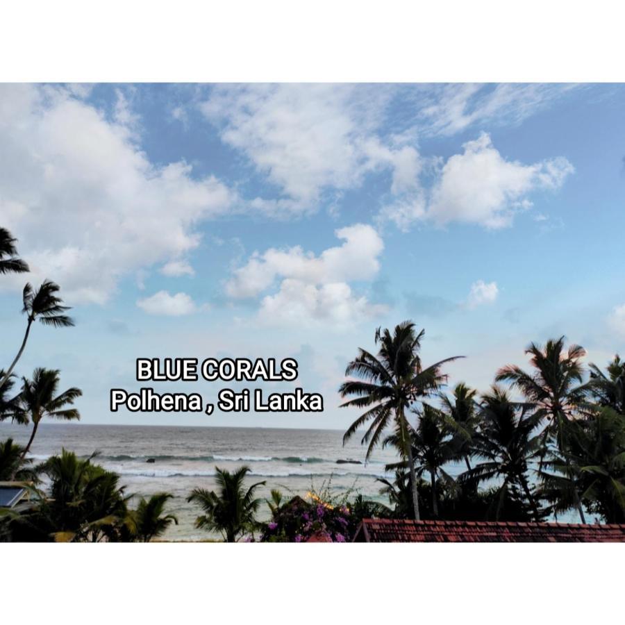 Blue Corals Beach Bungalow Matara Kültér fotó