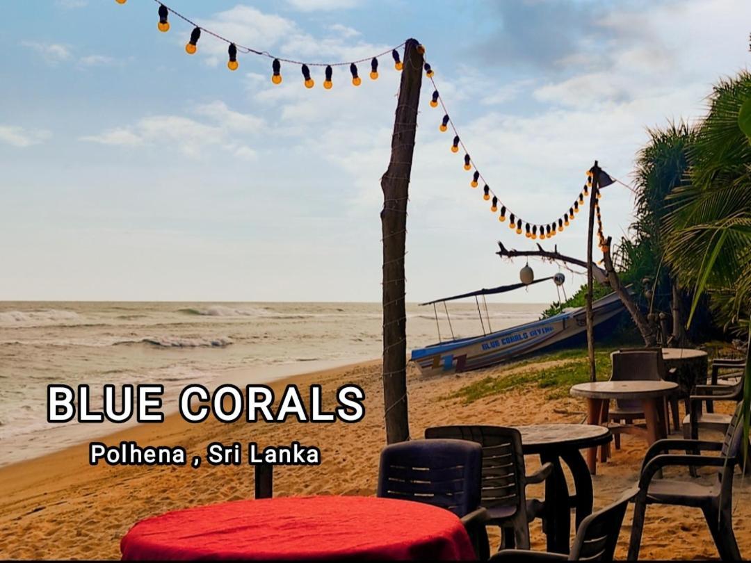 Blue Corals Beach Bungalow Matara Kültér fotó