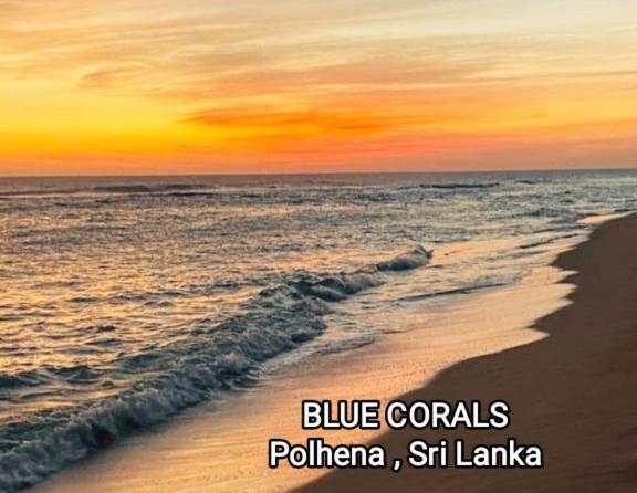 Blue Corals Beach Bungalow Matara Kültér fotó