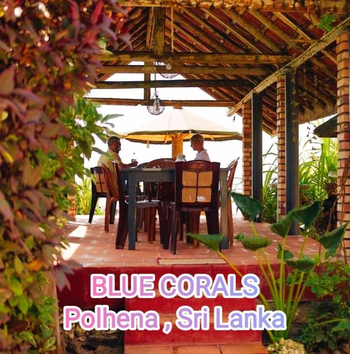 Blue Corals Beach Bungalow Matara Kültér fotó