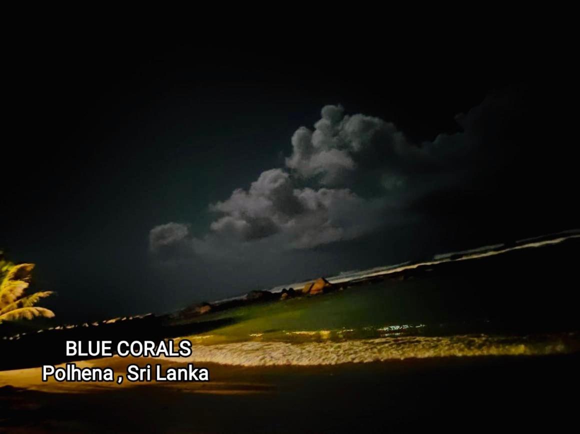 Blue Corals Beach Bungalow Matara Kültér fotó