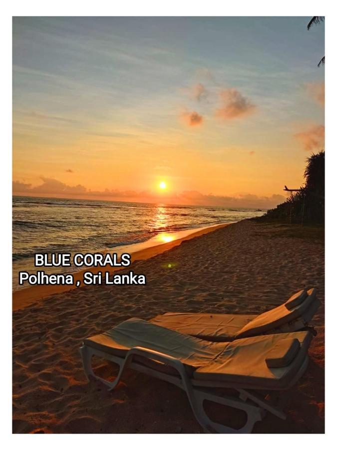 Blue Corals Beach Bungalow Matara Kültér fotó