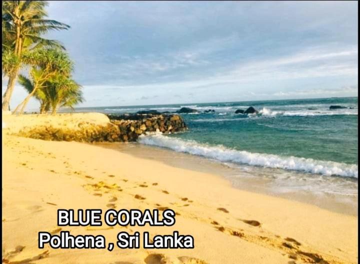 Blue Corals Beach Bungalow Matara Kültér fotó
