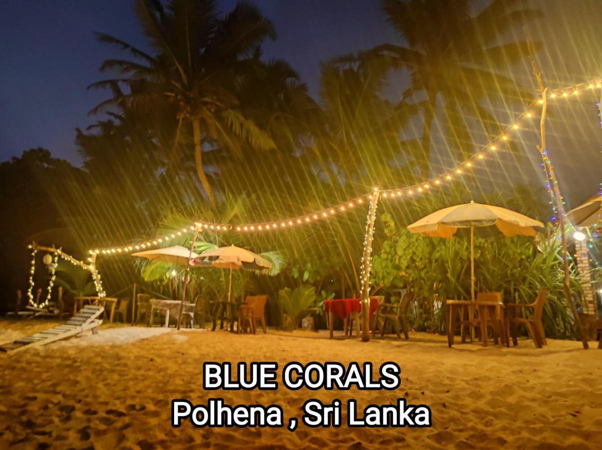 Blue Corals Beach Bungalow Matara Kültér fotó