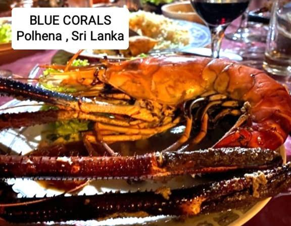 Blue Corals Beach Bungalow Matara Kültér fotó