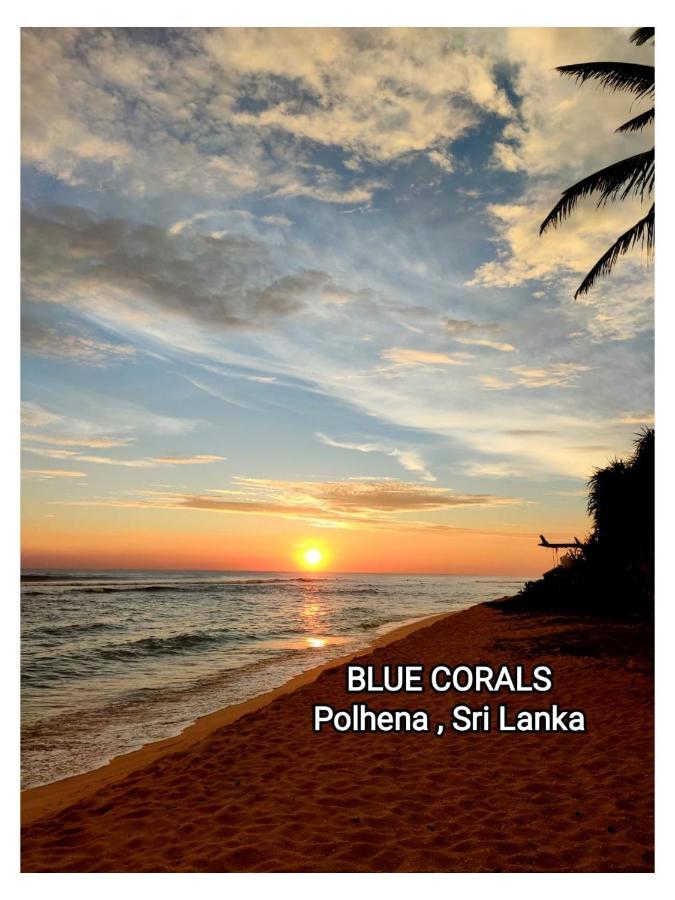 Blue Corals Beach Bungalow Matara Kültér fotó