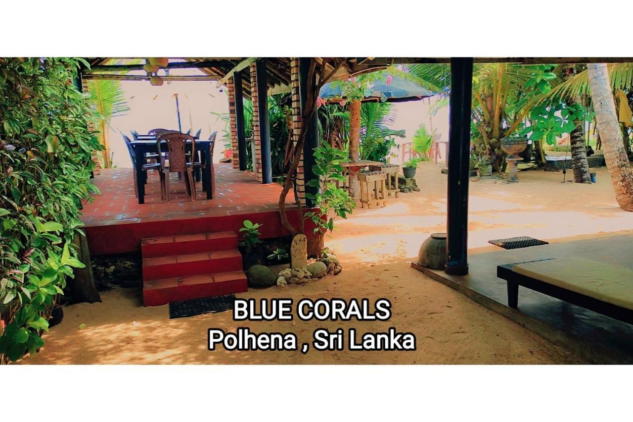 Blue Corals Beach Bungalow Matara Kültér fotó