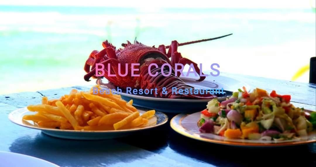 Blue Corals Beach Bungalow Matara Kültér fotó
