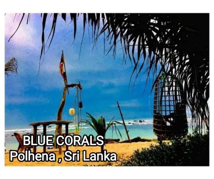 Blue Corals Beach Bungalow Matara Kültér fotó