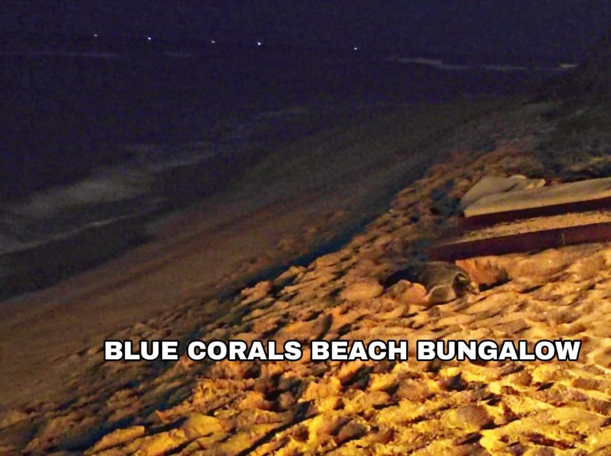Blue Corals Beach Bungalow Matara Kültér fotó